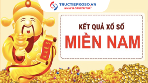XSMN 15